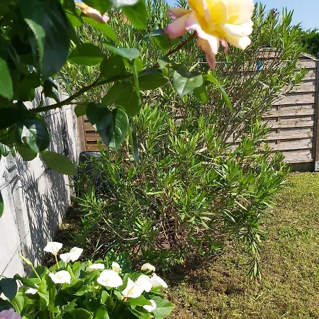 Cosymedoc Holiday home